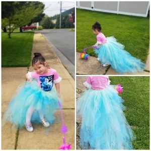 The Peacock tutu, tulle shirt, girls infant toddl